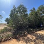 listing image thumbnail with ID 106157