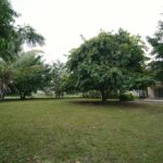 listing image thumbnail with ID 86683