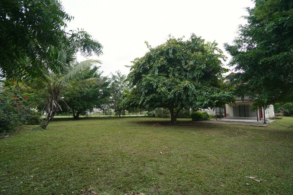 listing image with ID 86683