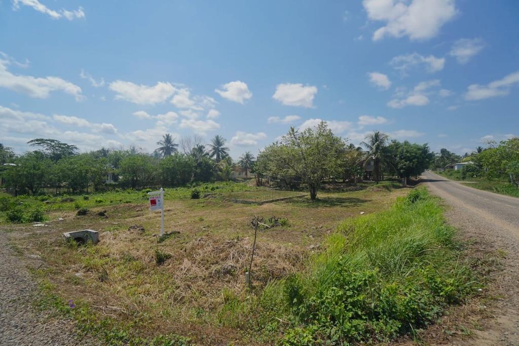 listing image with ID 84459