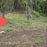 listing image thumbnail with ID 87451