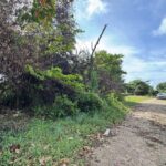 listing image thumbnail with ID 77798