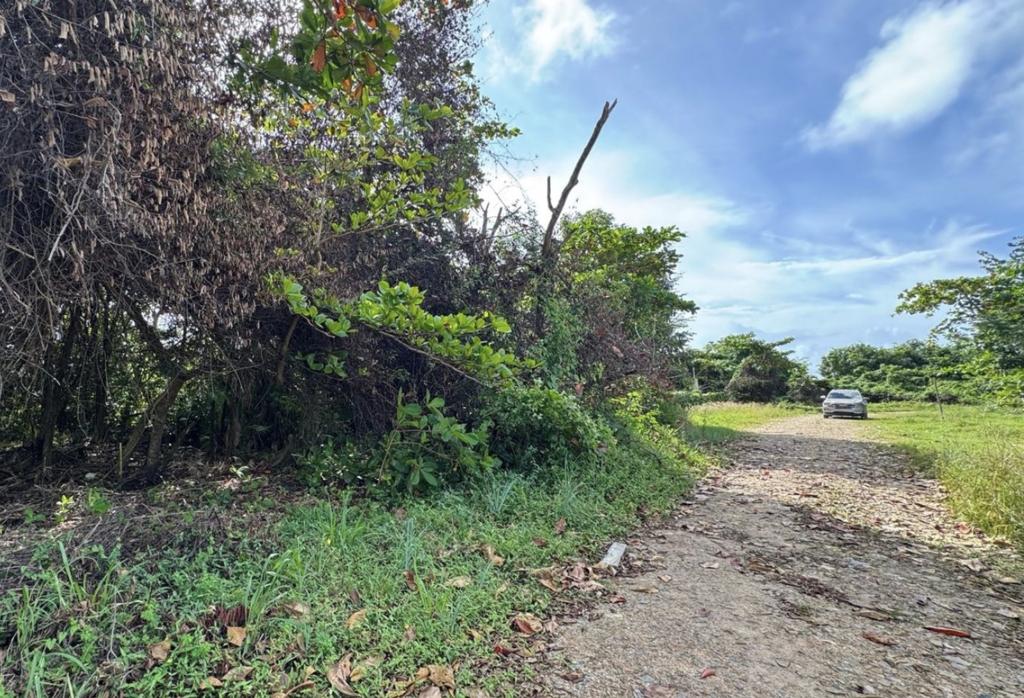 listing image with ID 77798