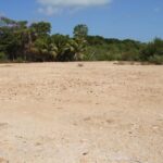 listing image thumbnail with ID 86073