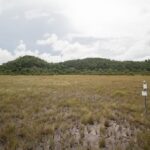 listing image thumbnail with ID 99454