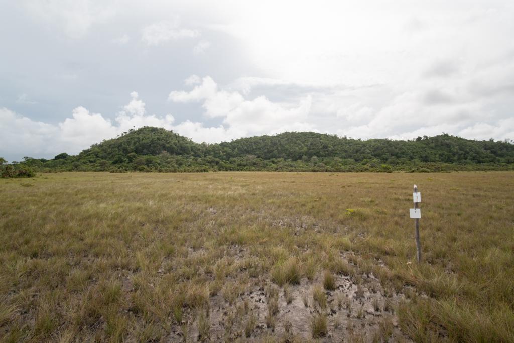 listing image with ID 99454