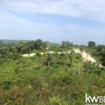 listing image thumbnail with ID 92662