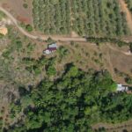 listing image thumbnail with ID 101904
