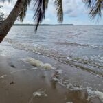 listing image thumbnail with ID 76075