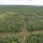 listing image thumbnail with ID 95272