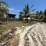 listing image thumbnail with ID 92182