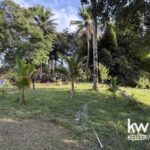 listing image thumbnail with ID 92734