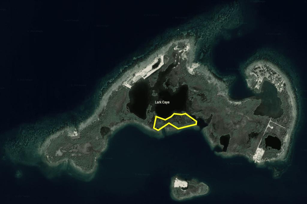 listing image with ID 95984