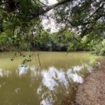 listing image thumbnail with ID 104722