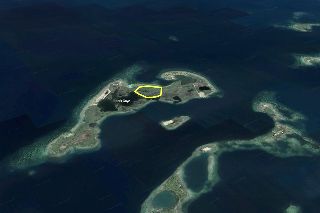 listing image with ID 87094