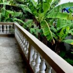 listing image thumbnail with ID 102374