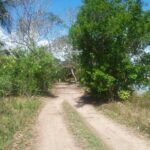 listing image thumbnail with ID 94604