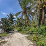 listing image thumbnail with ID 108346