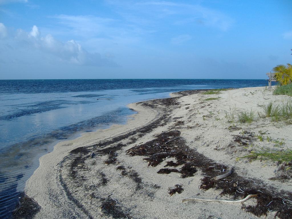listing image with ID 103272