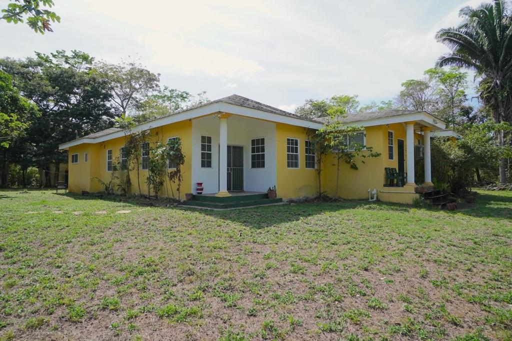 listing image with ID 82000