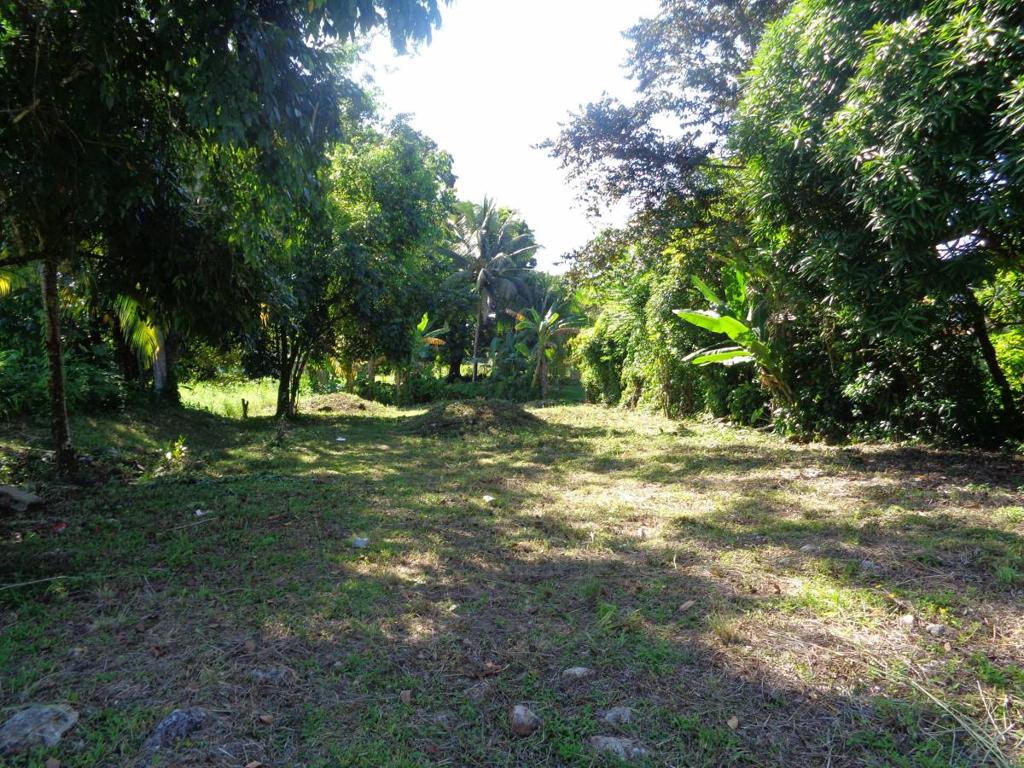 listing image with ID 81703