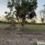 listing image thumbnail with ID 103268