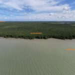 listing image thumbnail with ID 94111
