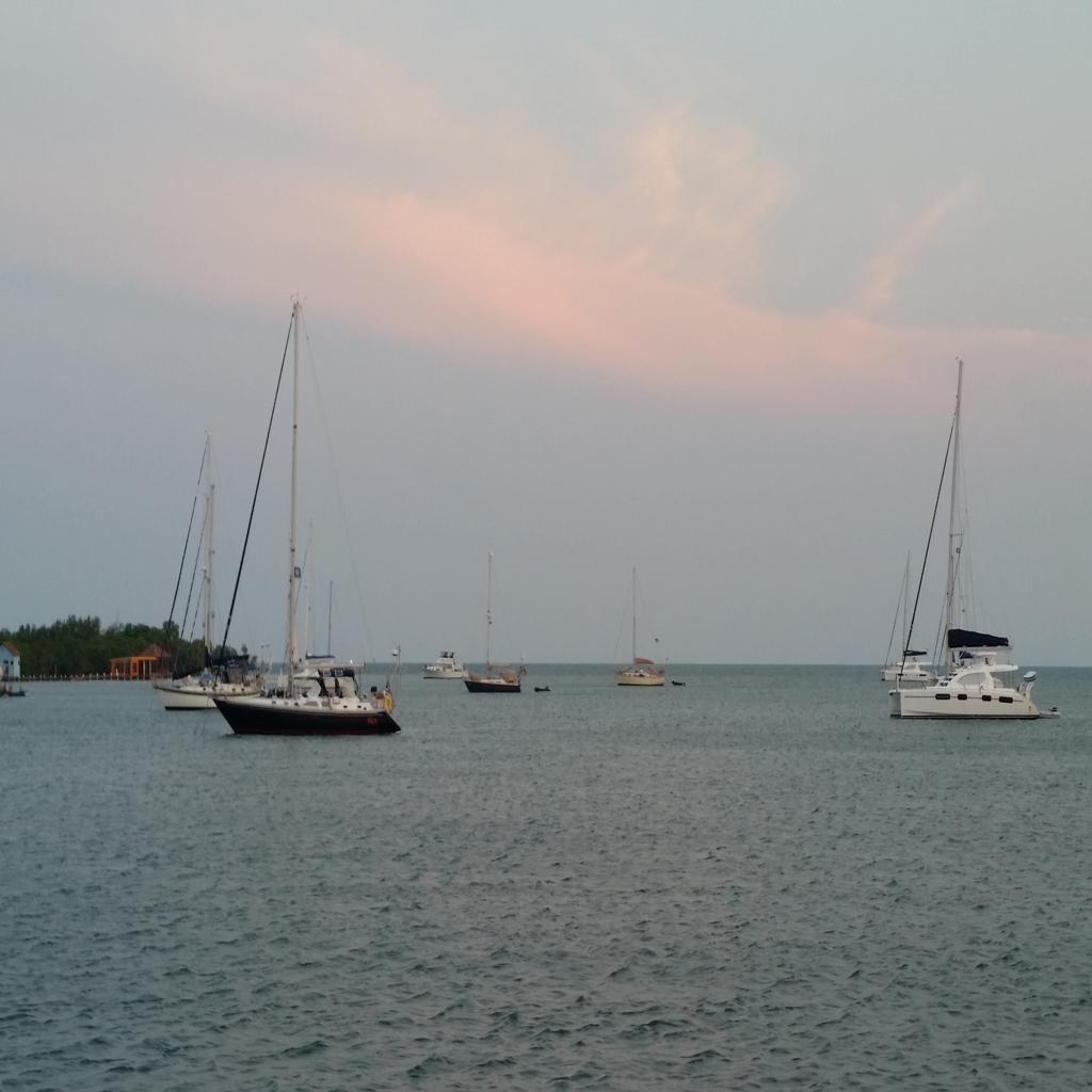 listing image with ID 74507