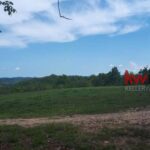 listing image thumbnail with ID 83476