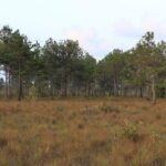 listing image thumbnail with ID 103671
