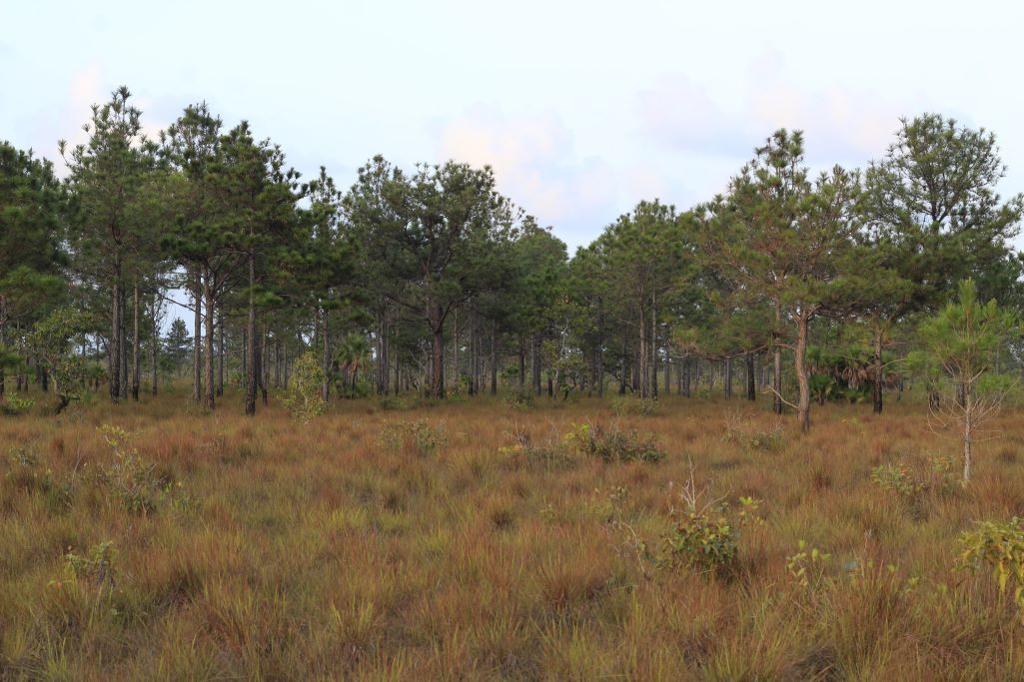 listing image with ID 103671