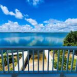 listing image thumbnail with ID 98874