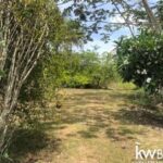 listing image thumbnail with ID 106993