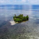 listing image thumbnail with ID 100722