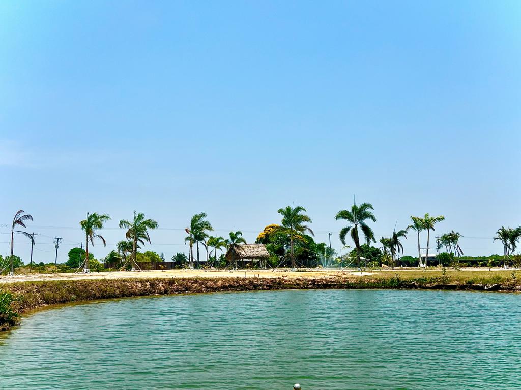listing image with ID 82069