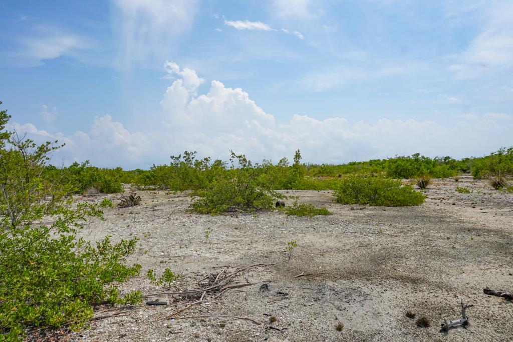 listing image with ID 74667
