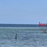 listing image thumbnail with ID 86023