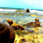 listing image thumbnail with ID 80850