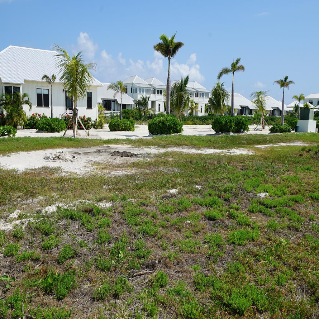 listing image with ID 97972
