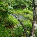 listing image thumbnail with ID 87271