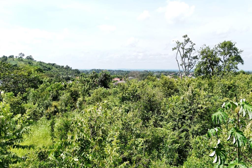 listing image with ID 86768