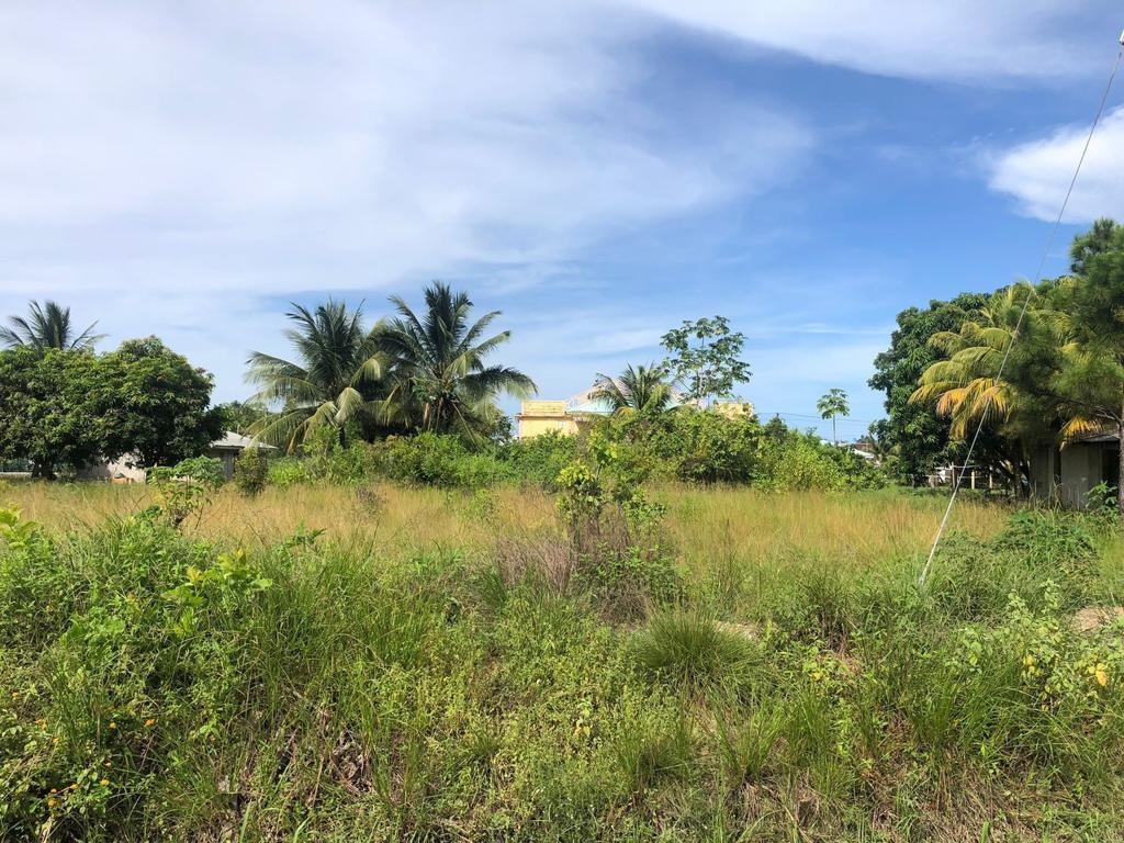 listing image with ID 103198