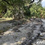 listing image thumbnail with ID 91814