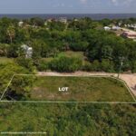 listing image thumbnail with ID 102187