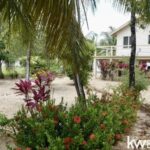 listing image thumbnail with ID 107078