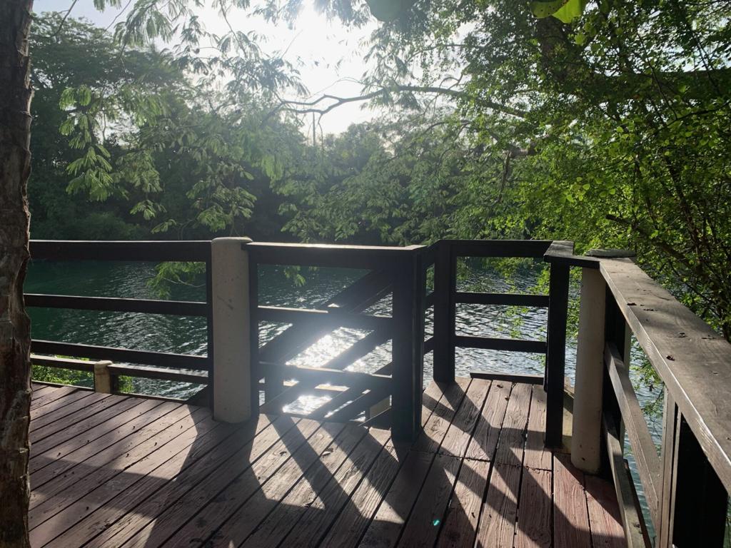 listing image with ID 93813