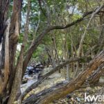 listing image thumbnail with ID 91812
