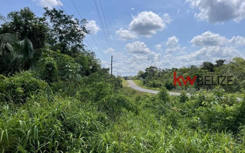 listing image with ID 90241