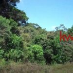 listing image thumbnail with ID 84566
