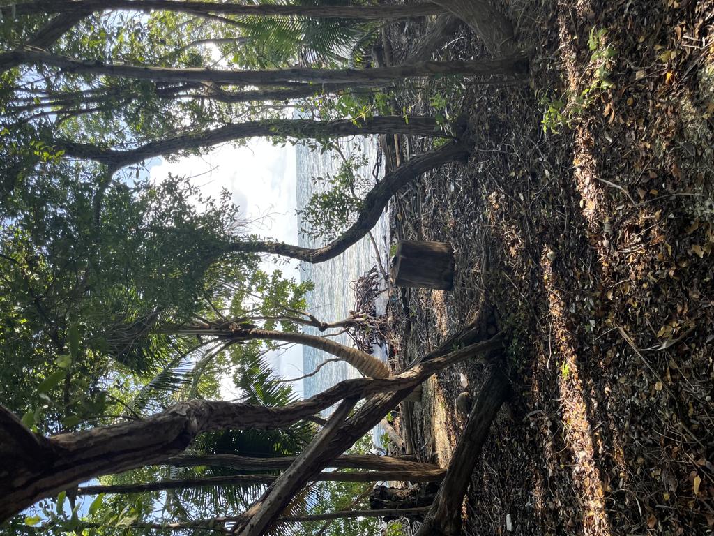 listing image with ID 98458
